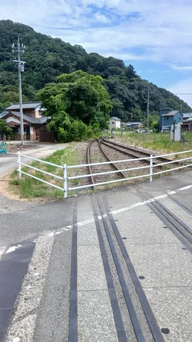 線路と樹影の小さな朝