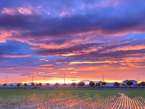 空と田んぼ、映える夕焼け