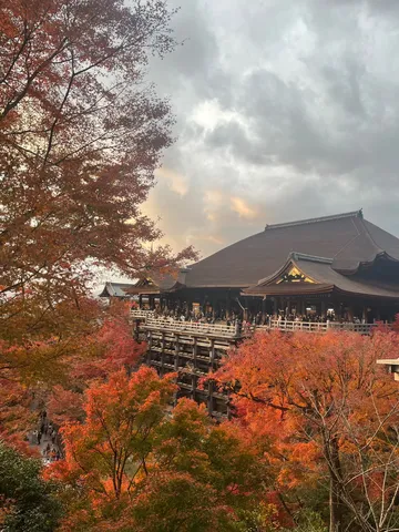 天空舞台の秋色大宴会