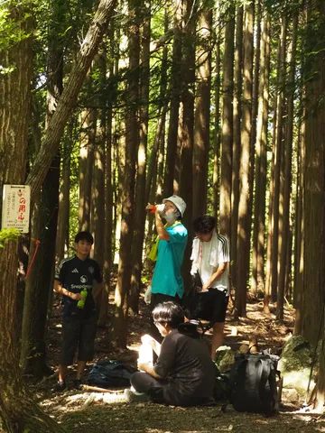 木漏れ日の中、山登りの休憩タイム