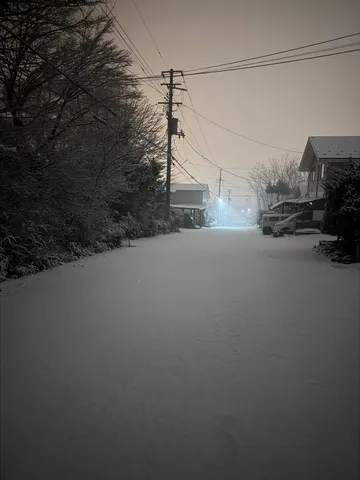 冬の不思議な散歩道