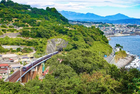 海と山、列車が紡ぐ緑の道