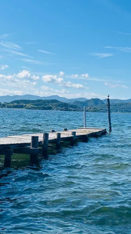 岸辺の静かな風景