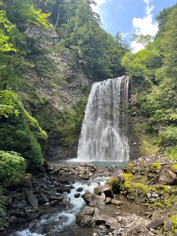 森深く轟く、生命の瀑布