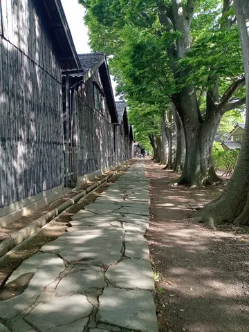 木陰の石畳が続く路地