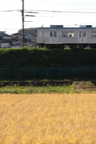 線路と麦畑の影
