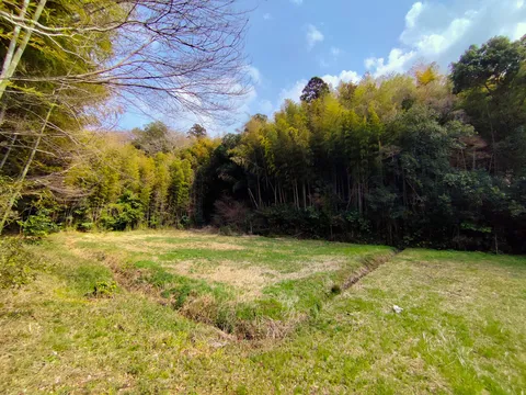 里山の静かな午後