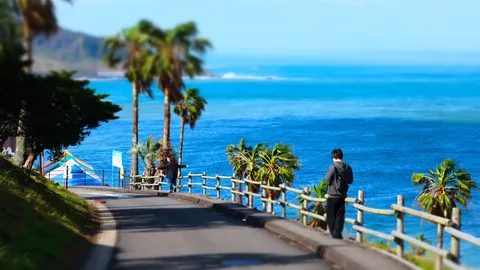 潮風感じる海沿いの道
