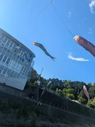 鯉のぼりと青い空