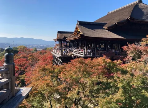秋風と紅葉の寺院テラス