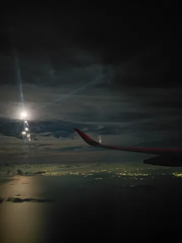 夜空を映す翼、都市の光