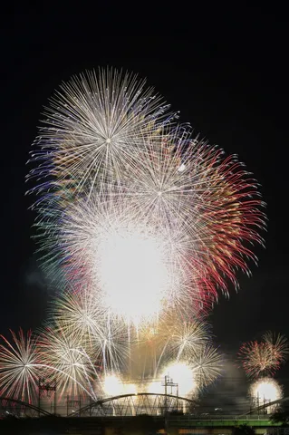 夜空を彩る花火の海