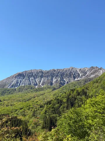 山頂へ続く緑の絨毯