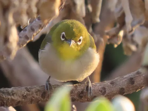 じっと見つめる先には何が？