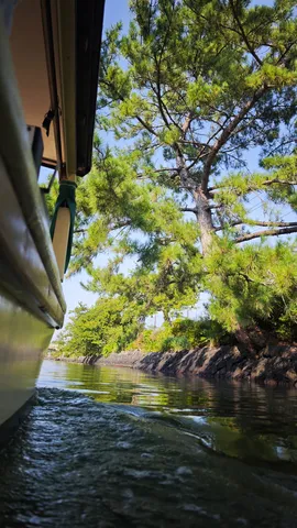 水面を滑る、木漏れ日の川旅