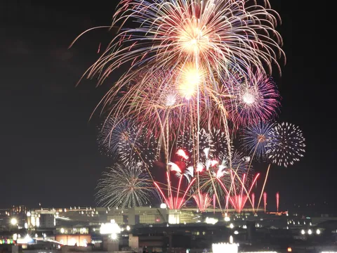 夜空に咲く大輪の花