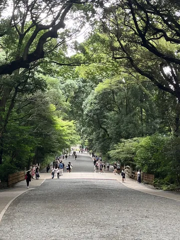 木漏れ日と参道の静かな時間