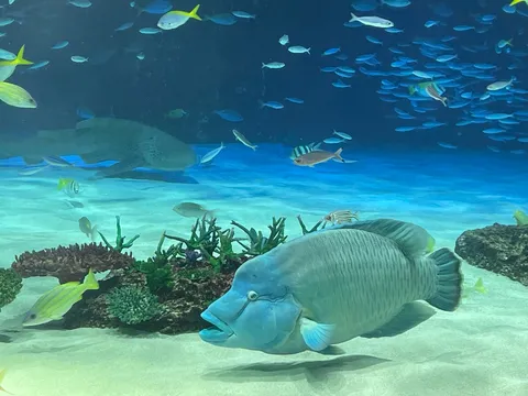 海の静かな群像写真