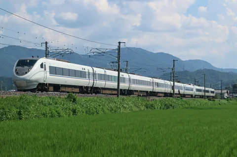 田園を駆け抜ける白い疾風