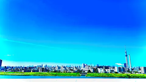 青空とスカイツリーのコントラスト