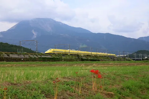 山里を駆ける黄色い列車