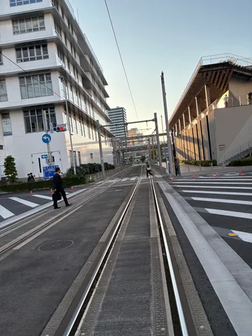 路面を渡る午後の風景