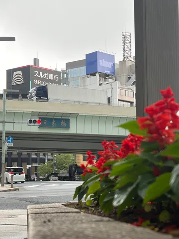 都会の風景と花、静かな交差点
