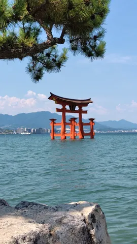海に浮かぶ朱色の鳥居