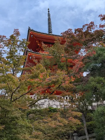 古刹に舞う錦秋