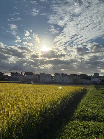 光と田園の午後の風