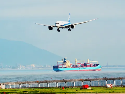 空と海と巨大な船、そして空を舞う翼