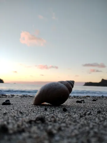 静寂の浜辺、貝殻の詩