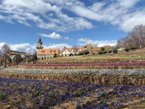 青空と花の階段風景