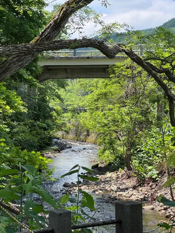緑深き渓流と橋の静寂