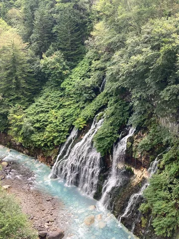 緑と水の滝景色