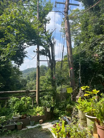 山あいの電力と緑のコントラスト
