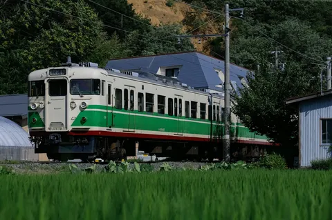 緑と共走するクリームと緑の列車