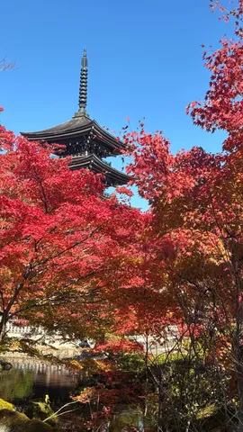 赤い秋を支える塔
