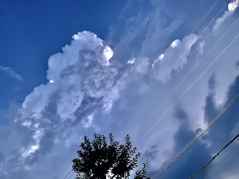 青空を彩る雲と電線