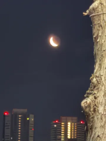 都会の夜空に浮かぶ三日月