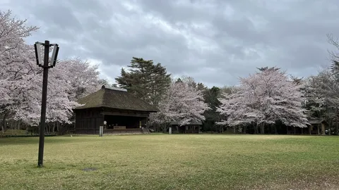趣ある風景に桜が咲き誇る