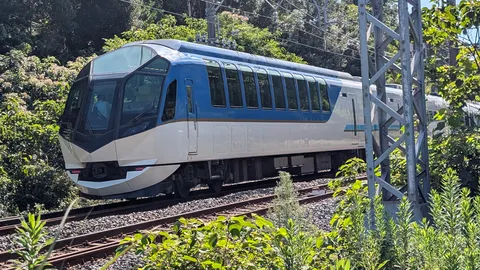 緑の中を駆け抜ける青い列車