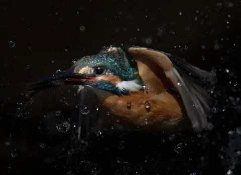 水しぶきに映る、一瞬の煌めき