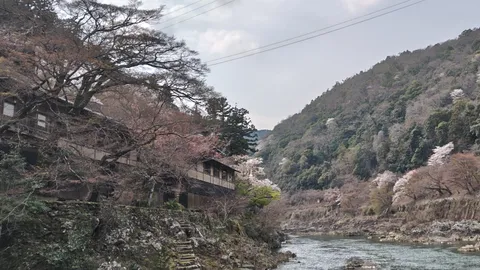 春の山肌と川沿いの静寂