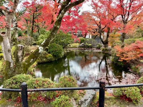 紅葉が彩る静寂の日本庭園