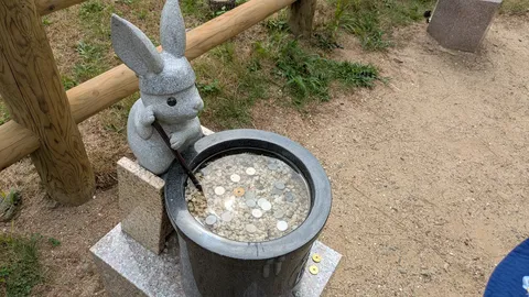 うさぎの泉、願いを込めて