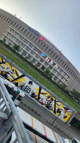 ペイペイドームと迫力ある壁画