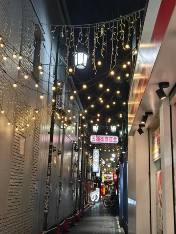 光を追う夜の路地