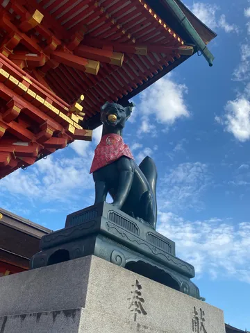 鳥居の下の狐、見守る空