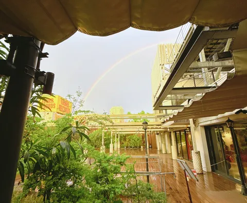 雨上がりの虹と都会のオアシス